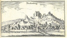 Picture 1