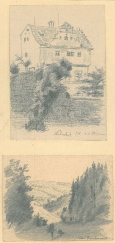 Picture 1