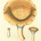 Bild 23