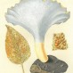 Bild 24