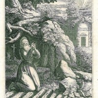 ULRICH vom Mösli. Bild 1