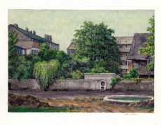 Picture 1