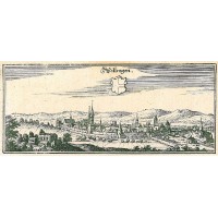 Picture 1