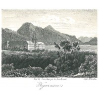 Picture 1