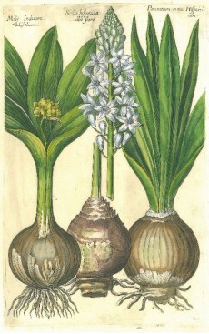 Picture 1