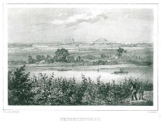 Picture 1