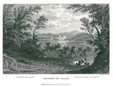 Picture 1