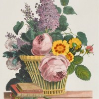 Picture 1