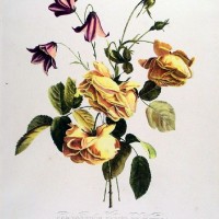 Picture 1
