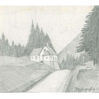 Picture 1