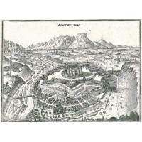 Picture 1