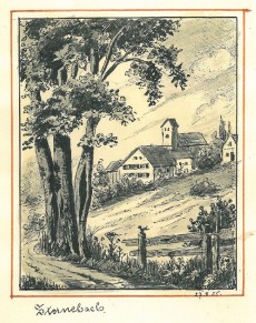 Picture 1