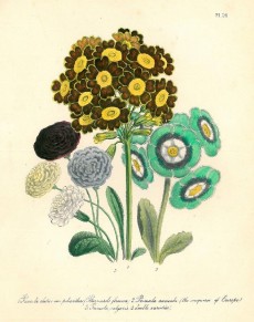 Picture 1