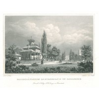 Picture 1