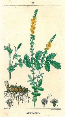 Picture 1