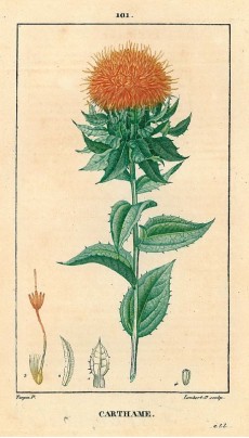 Picture 1