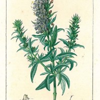 Picture 1