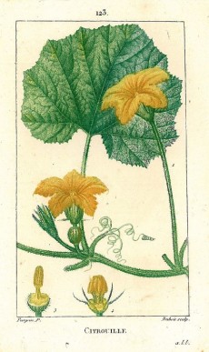 Picture 1