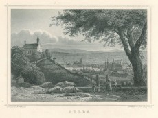 Picture 1