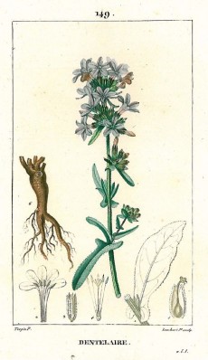 Picture 1