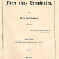 Strachwitz, Moritz. Bild 1