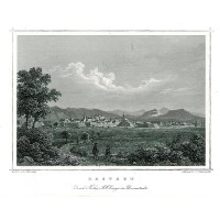 Picture 1