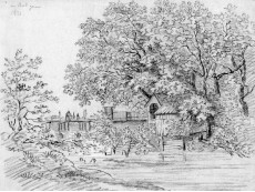 Picture 1
