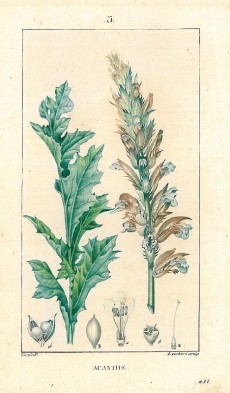 Picture 1