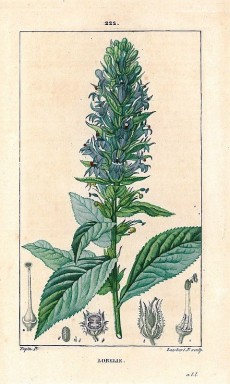 Picture 1