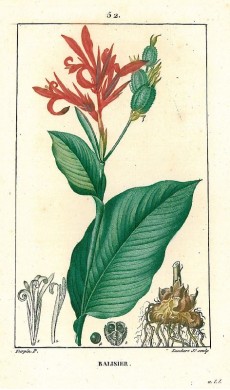 Picture 1