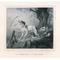 Picture 1