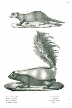 Picture 1