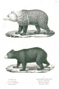 Picture 1