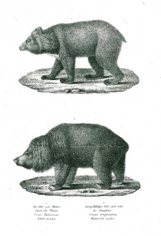 Picture 1