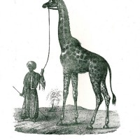 Picture 1