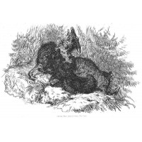 Picture 1