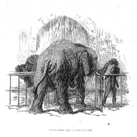 Picture 1