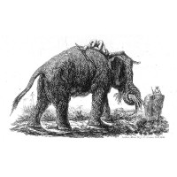 Picture 1