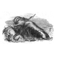 Picture 1
