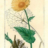Picture 1