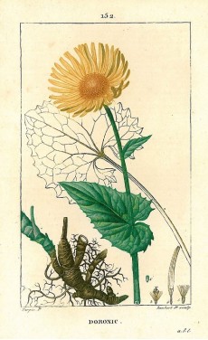 Picture 1