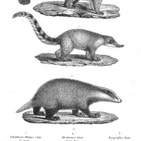 Picture 1