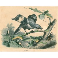 Picture 1