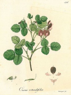 Picture 1