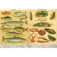 Picture 1