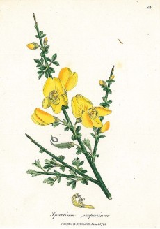 Picture 1