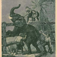 Picture 1