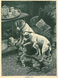 Picture 1