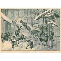 Picture 1
