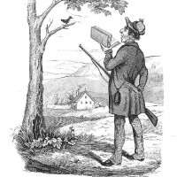 KARIKATUREN. - Jagd. Bild 1